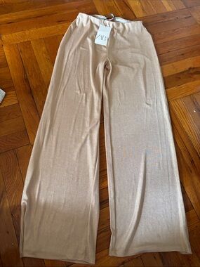 Sheer Zara Pants
